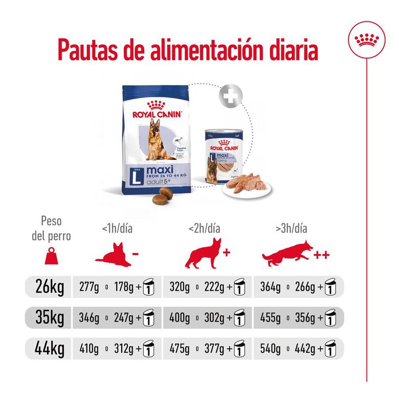 Royal Canin Maxi Adult 5+ pienso para perros senior de raza grande, , large image number null